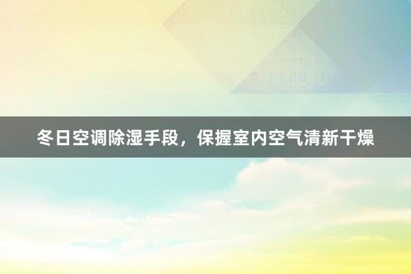 冬日空调除湿手段，保握室内空气清新干燥